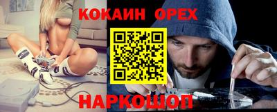 гидропоника Будённовск
