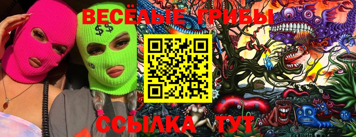 Псилоцибиновые грибы мухоморы  Вход с VPN  Приморско-Ахтарск 